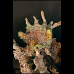 In the Palms of the Castle detail 12x8 in.jpg